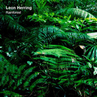 LimREC148 | Leon Herring – Rainforest